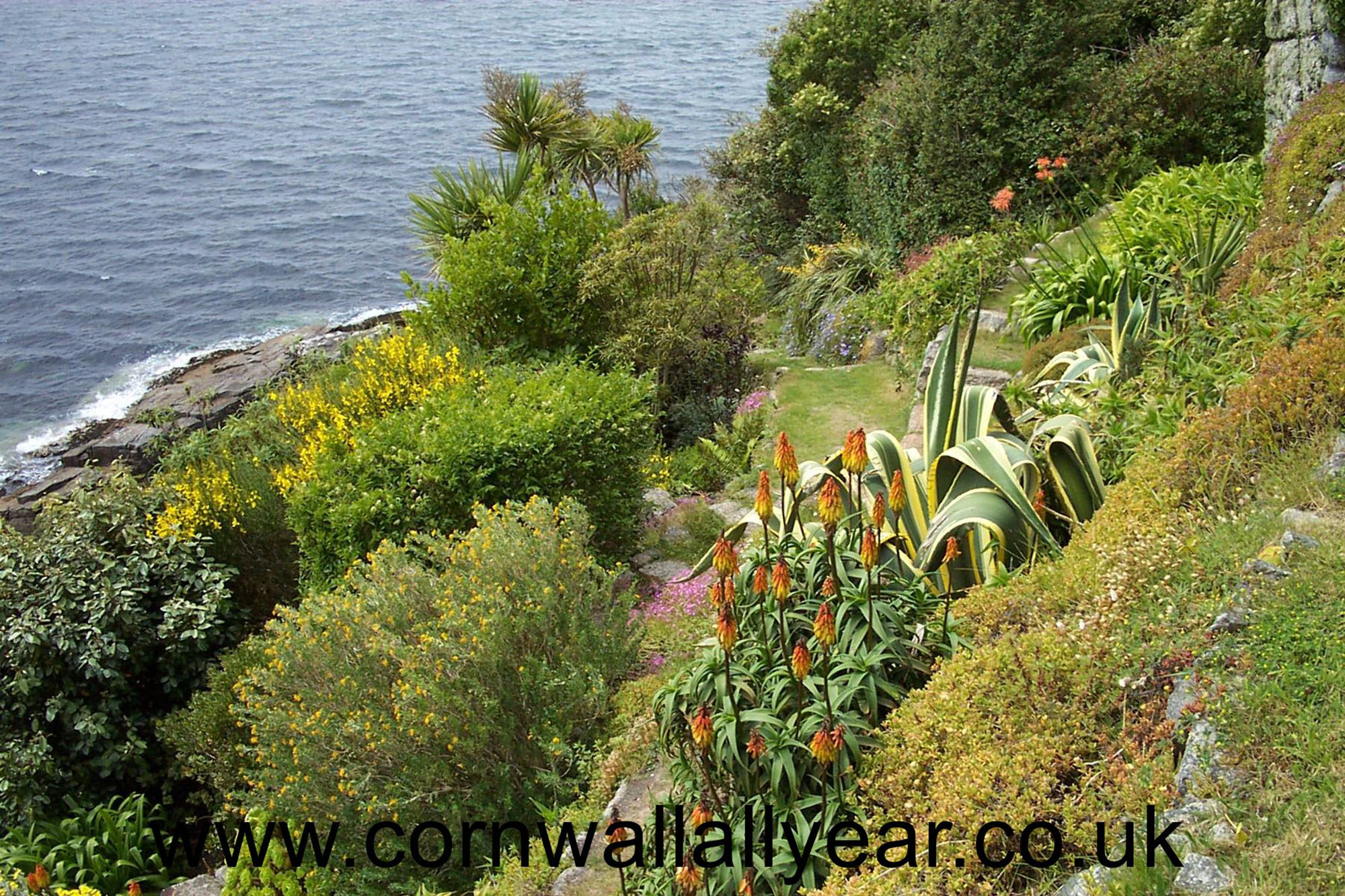 Part of the garden on the seaward side of the Mount